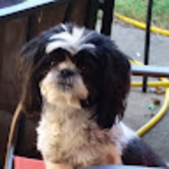 Meet your Posher, Phyl - Picture 1 of 1